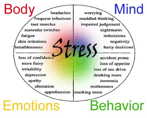 Stress Management Capri3 Consultants